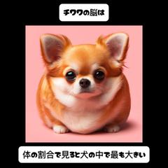 AIを使った雑学系動画