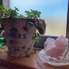 恋愛運を上げるパワーストーン✨