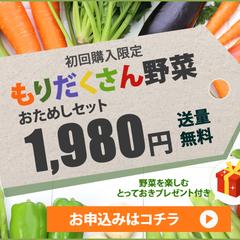 もりだくさん野菜セット