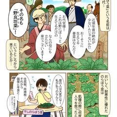 野良坊菜２/2