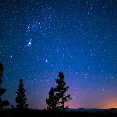 夜空を見る