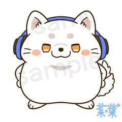 配信者な白柴さん