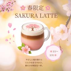 カフェ向け春限定POPデザイン（桜ラテ）