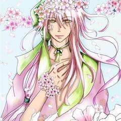 桜の擬人化