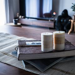 個人邸 スタイリング事例