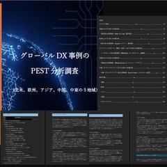 米国・欧州・アジア・中国・中東におけるDX事例のPEST分析