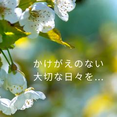 【日日是好日】