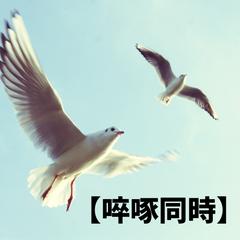 【啐啄同時（そくたくどうじ）】