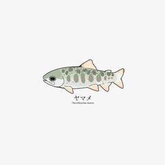ヤマメの荒さと