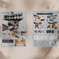 化石ショップチラシ