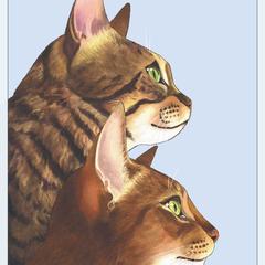 TWO FELINES