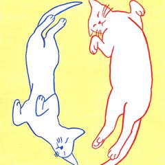 うちのねこ