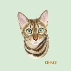 ベンガルちゃん