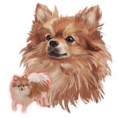お友達の犬です。
