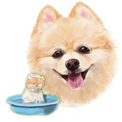 相互さんの犬です。