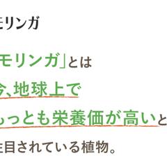 デザインに基づいてLPをHTML/CSSでコーディング