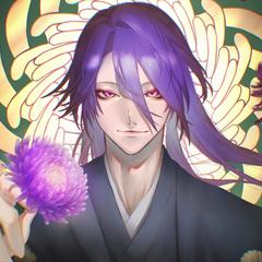 紫菊