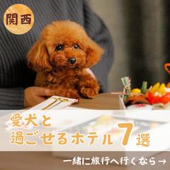 関西の動物ふれあいスポット紹介のアカウント運用