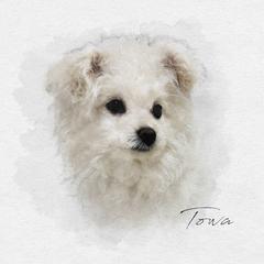 ワンちゃんのシックな似顔絵