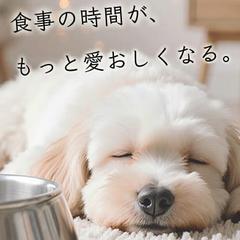ペットフード販売会社のLP制作