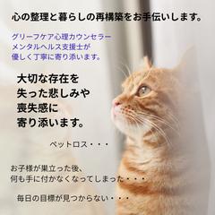 ペットロス　空の巣症候群のカウンセラー