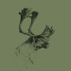 Elk