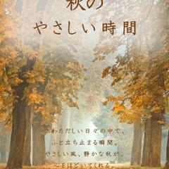 インスタのリール画像