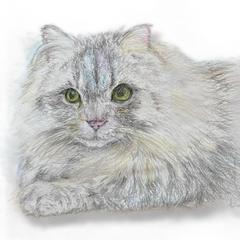 ハルくん