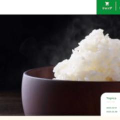 公的なホームページのCSSやカスタムフィールドの修正しました