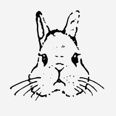 うさぎ