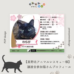 【真野北アニマルレスキュー様】譲渡会参加猫さんプロフィール