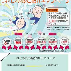 スイミングスクールのキャンペーンチラシ