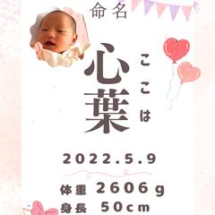 命名書 女の子 ピンク