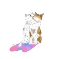 猫