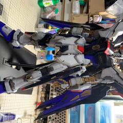 PG ストライクフリーダムガンダム