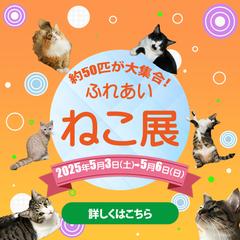 猫展広告画像