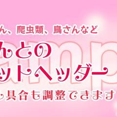 ヘッダーイラスト