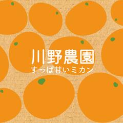 みかん農家様からのご依頼