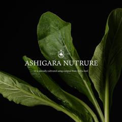 市役所主体の野菜ブランド案件