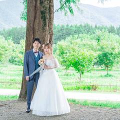 滋賀 メタセコイア並木 結婚式前撮り撮影