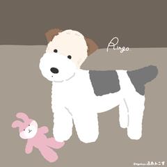 ふわんこず