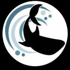 競艇AIシステムの開発