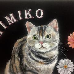 猫(スコティッシュフォールド) イラスト