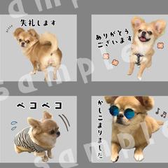 ご依頼のLINEスタンプ