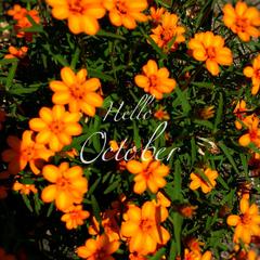 10月