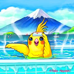 銭湯で羽を伸ばそう！おかめインコ君