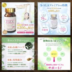 過去の商品画像紹介