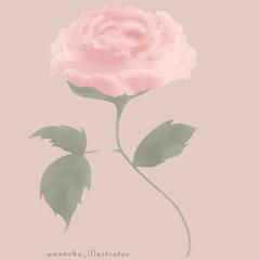 バラのイラスト