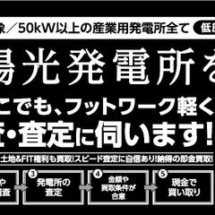 発電所買取の新聞広告