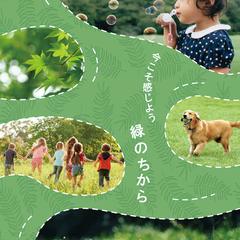 チラシポートフォリオ制作
